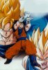 tn_gokukamehameha3.jpg